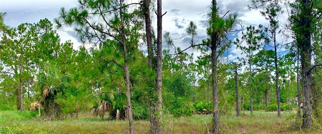 401 Leroy Ave., Lehigh Acres, FL 33972