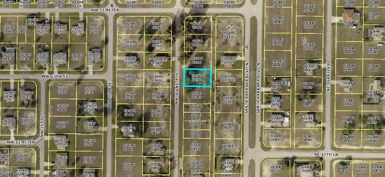 1215 NW Juanita Pl., Cape Coral, FL 33993