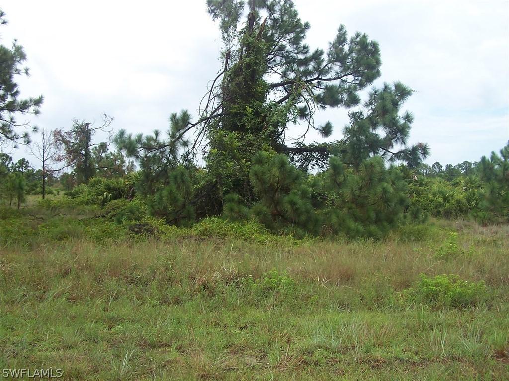 1111 Elegans St., Lehigh Acres, FL 33974