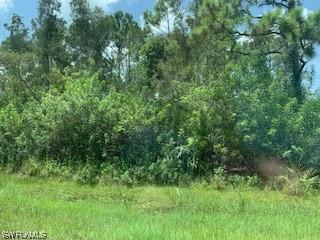 24032 Claire St., Bonita Springs, FL 34135