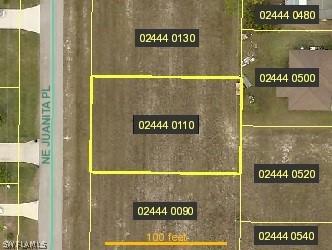 921 NE Juanita Pl., Cape Coral, FL 33909