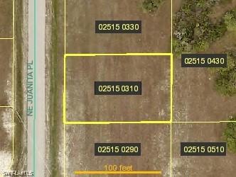 2207 NE Juanita Pl., Cape Coral, FL 33909