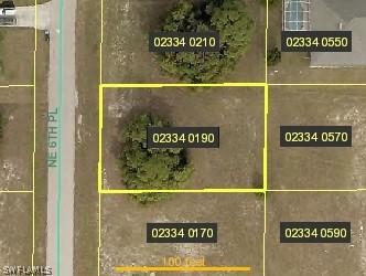 3009 NE 6th Pl., Cape Coral, FL 33909