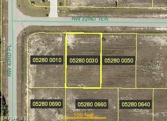 4206 NW 22nd Ter., Cape Coral, FL 33993
