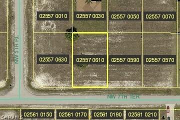 507 NW 7th Ter., Cape Coral, FL 33993