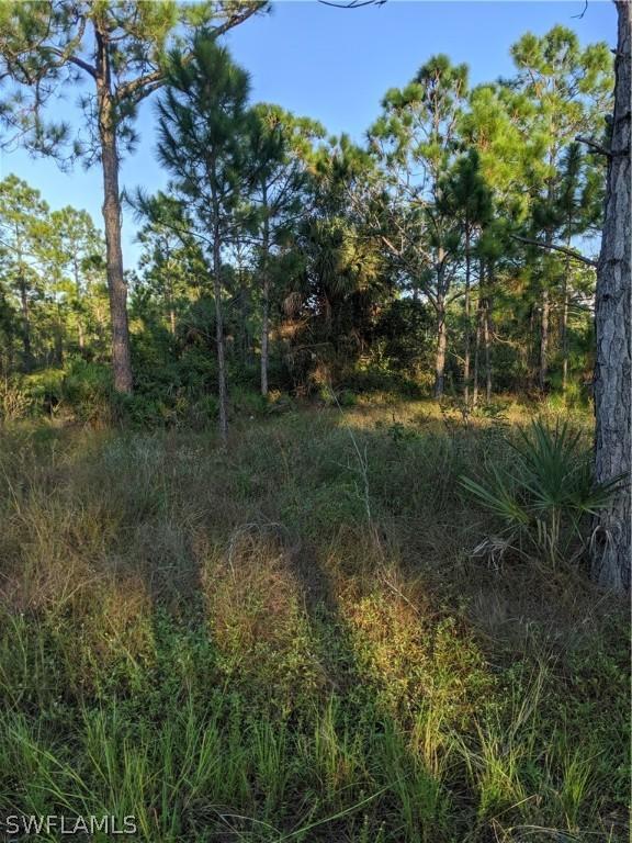 1102 Richmond Ave., Lehigh Acres, FL 33972