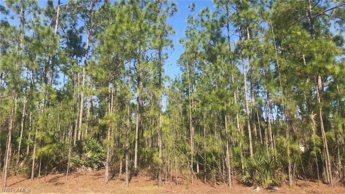 xx 27th Ave., Naples, FL 34120