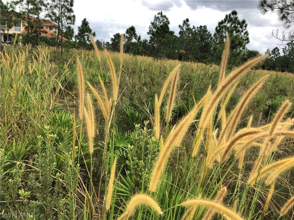 306 Wells Ave., Lehigh Acres, FL 33936