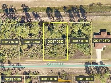 1117 Capri St., Lehigh Acres, FL 33974