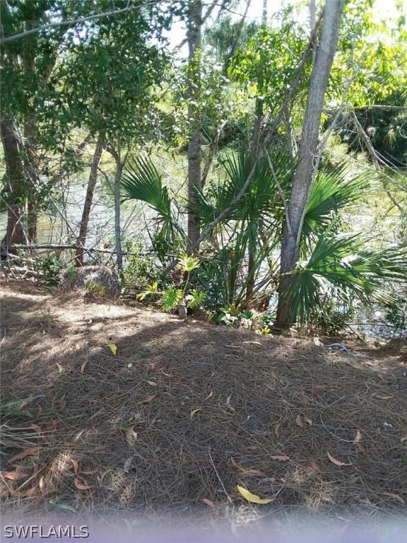 1006 SW 36th Ter., Cape Coral, FL 33914