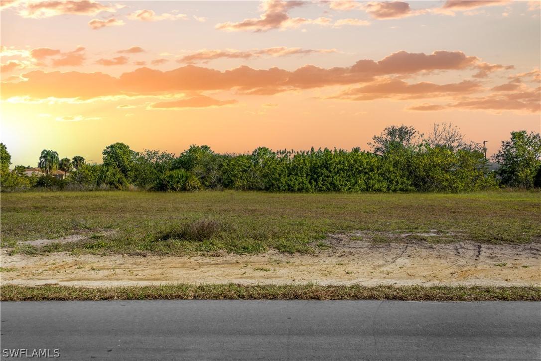 1007 NE 10th Pl., Cape Coral, FL 33909