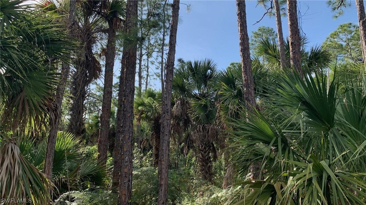 2nd St., Naples, FL 34117