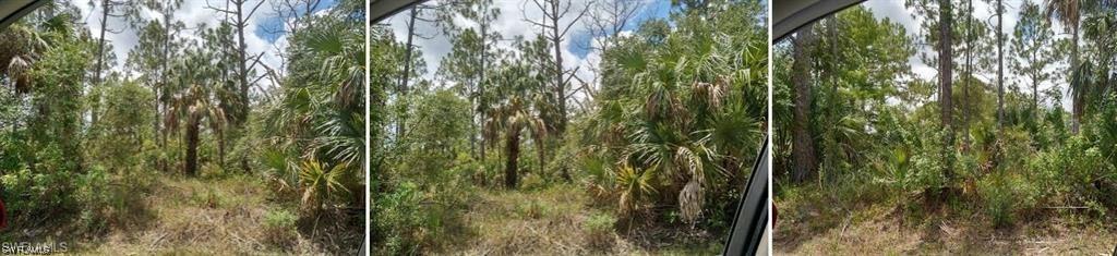 33rd ave nw 33rd Ave., Naples, FL 34117