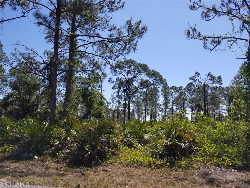 1054 Lilac St., Lehigh Acres, FL 33974