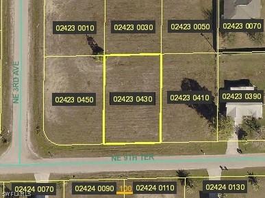 305 NE 9th Ter., Cape Coral, FL 33909