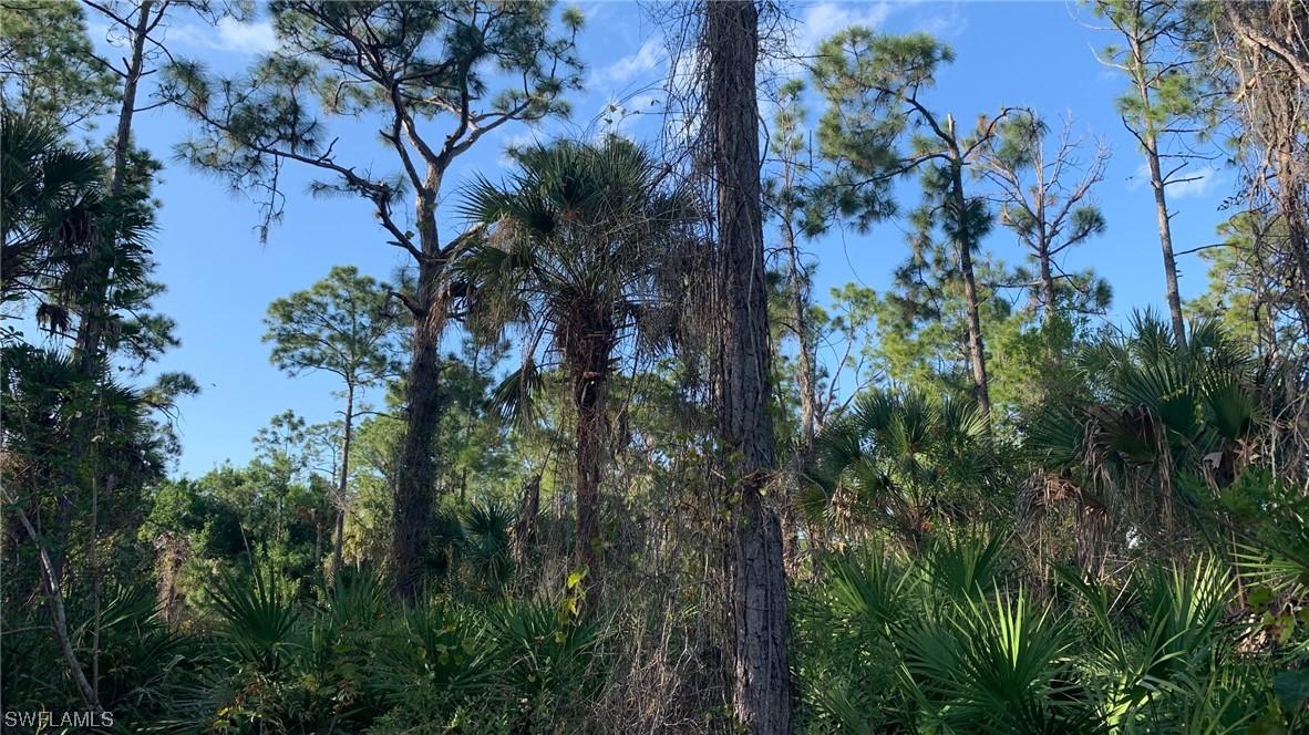 XXX 16th Ave., Naples, FL 34120