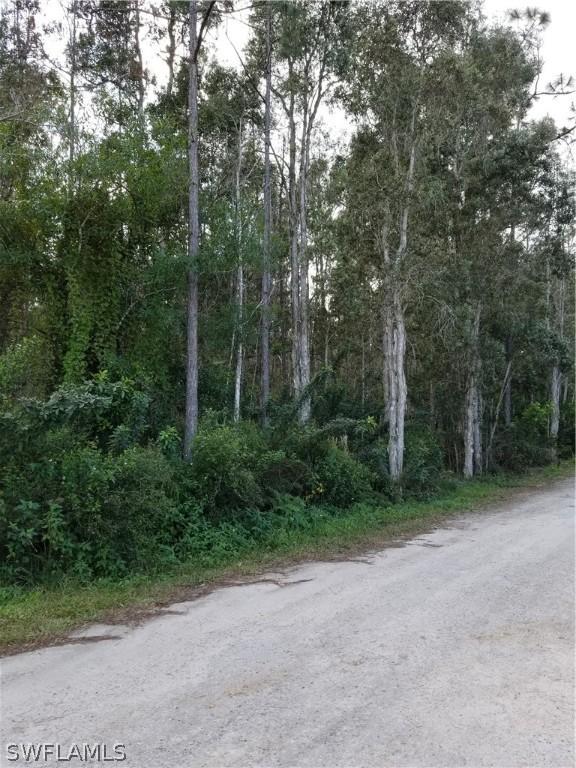 6556 Dabney St., Fort Myers, FL 33966