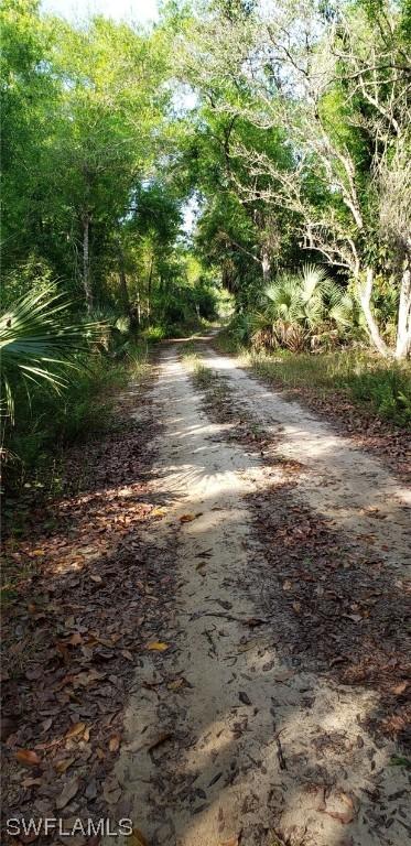 Rabbit Run Road, Naples, FL 34120