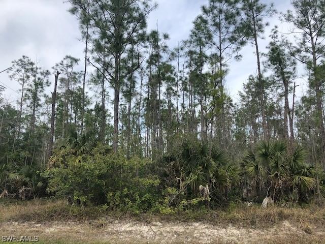 4315 2nd Ave., Naples, FL 34117