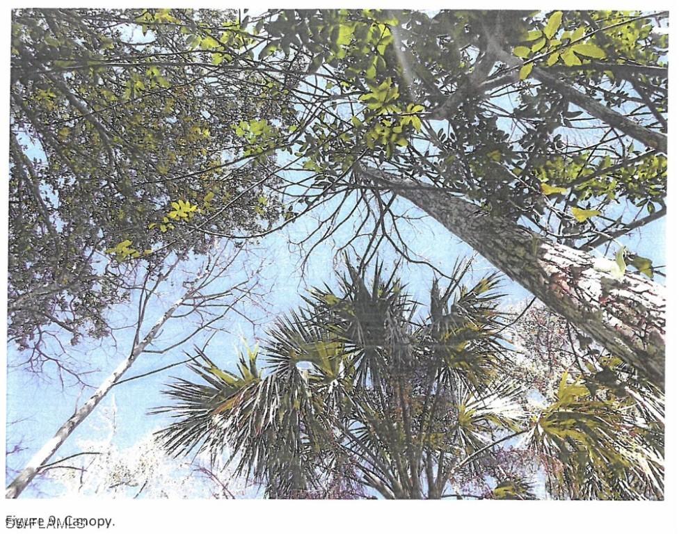 381 33rd Ave., Naples, FL 34120