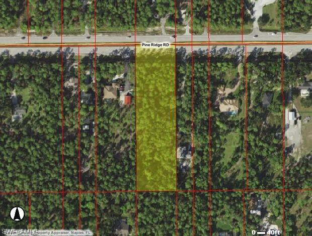 Pine Ridge, Naples, FL 34116
