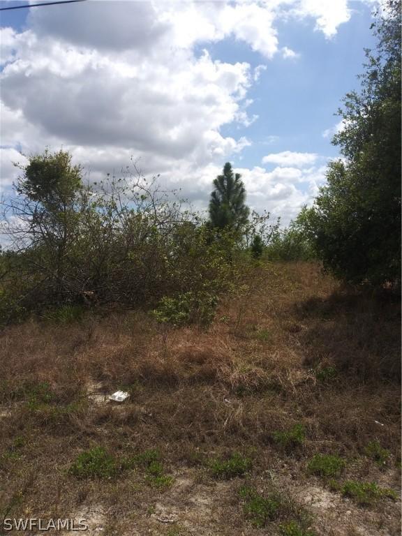 3309 3rd St., Lehigh Acres, FL 33971