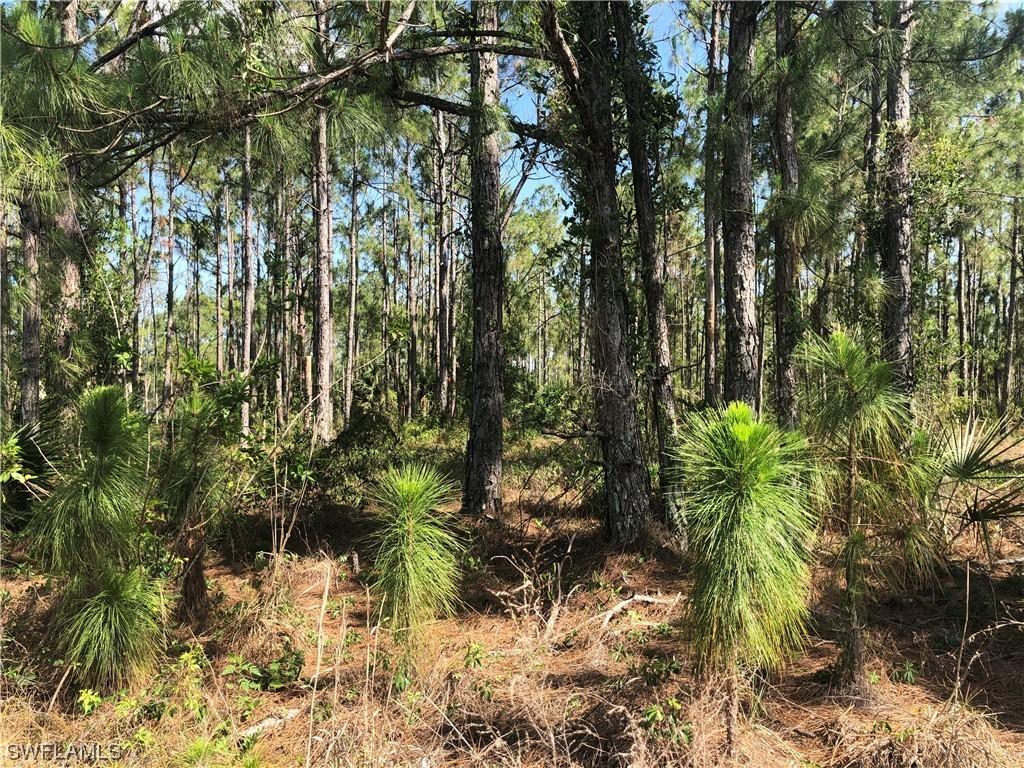 0000 45th Ave., Naples, FL 34120