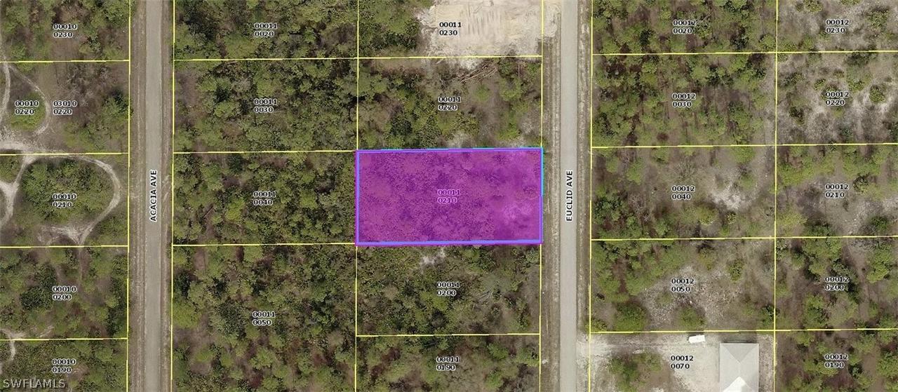 1217 Euclid Ave., Lehigh Acres, FL 33972