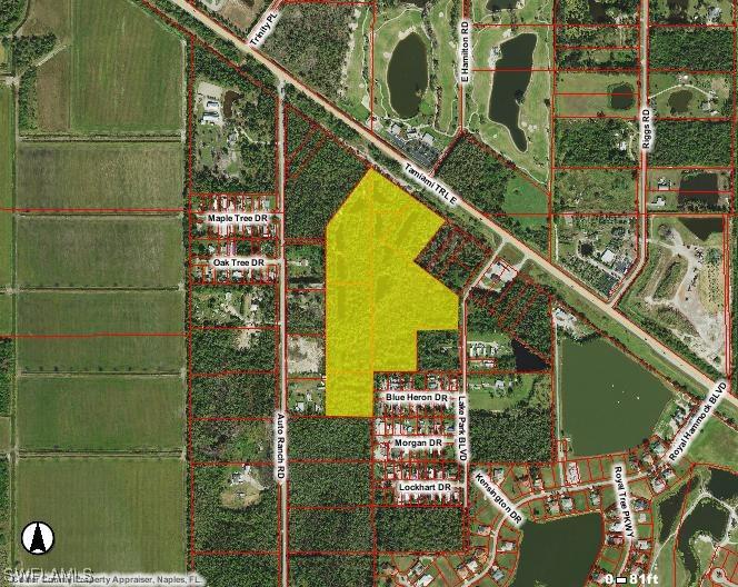 TBD Tamiami Tr., Naples, FL 34114