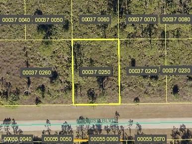 1139 Sunrise Blvd., Lehigh Acres, FL 33974