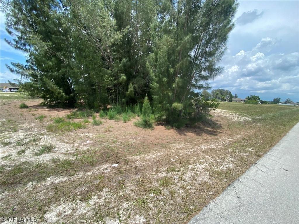4617 NW 33rd Ln., Cape Coral, FL 33993