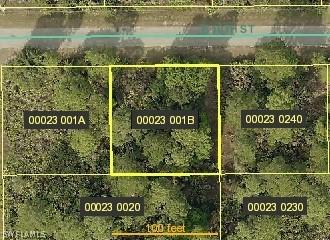 3602 E 10th St., Lehigh Acres, FL 33972