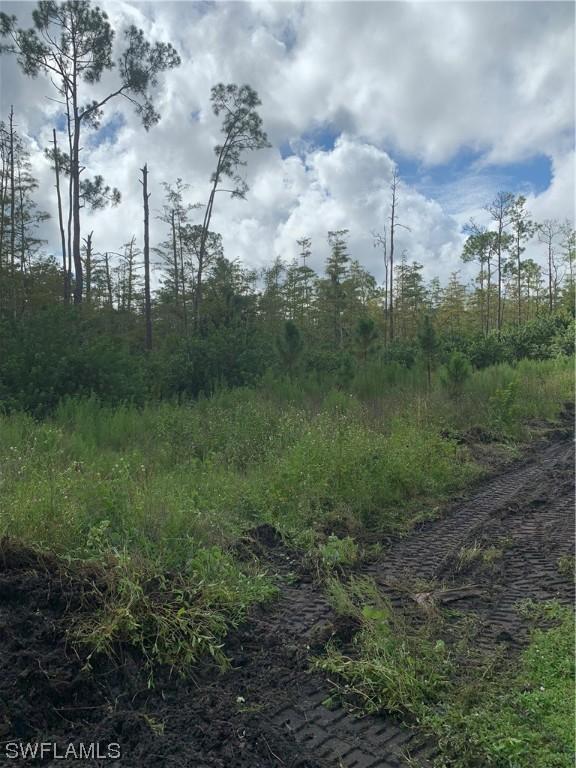 1117 Sheldon Ave., Lehigh Acres, FL 33936