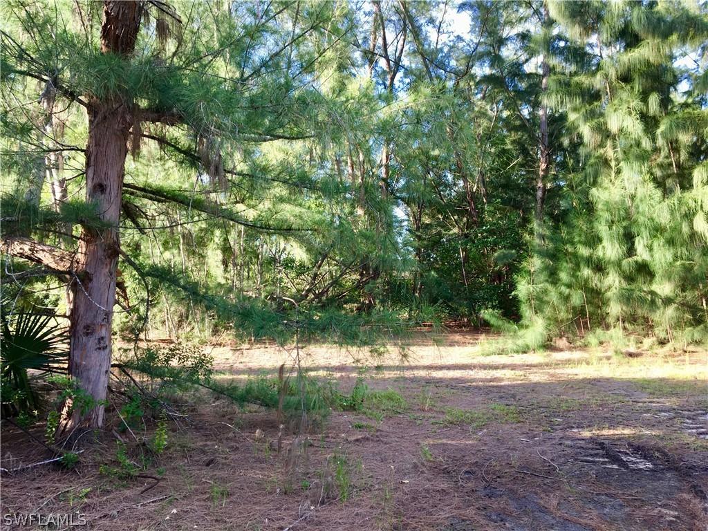 2830 NW 11th St., Cape Coral, FL 33993