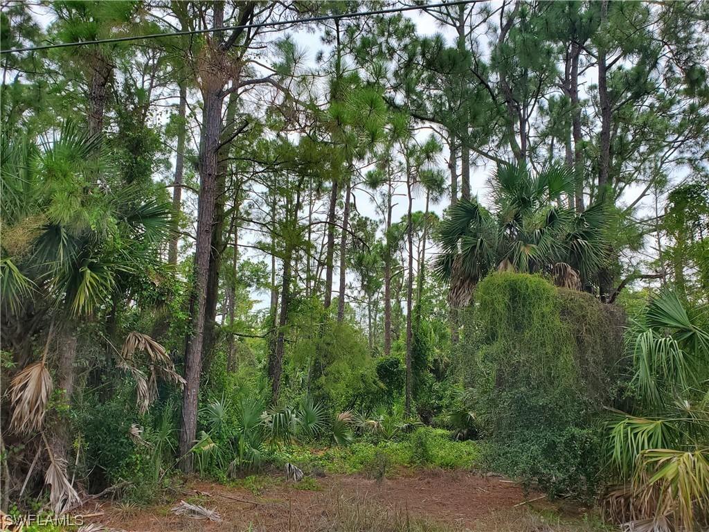 Wilson Blvd., Naples, FL 34120
