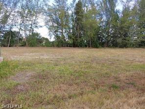 1923 SW 8th Ct., Cape Coral, FL 33991