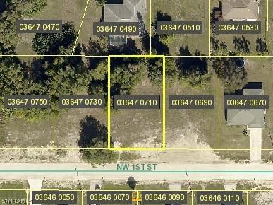 905 NW 1st St., Cape Coral, FL 33993
