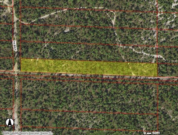 1780 Ivy Way, Naples, FL 34117