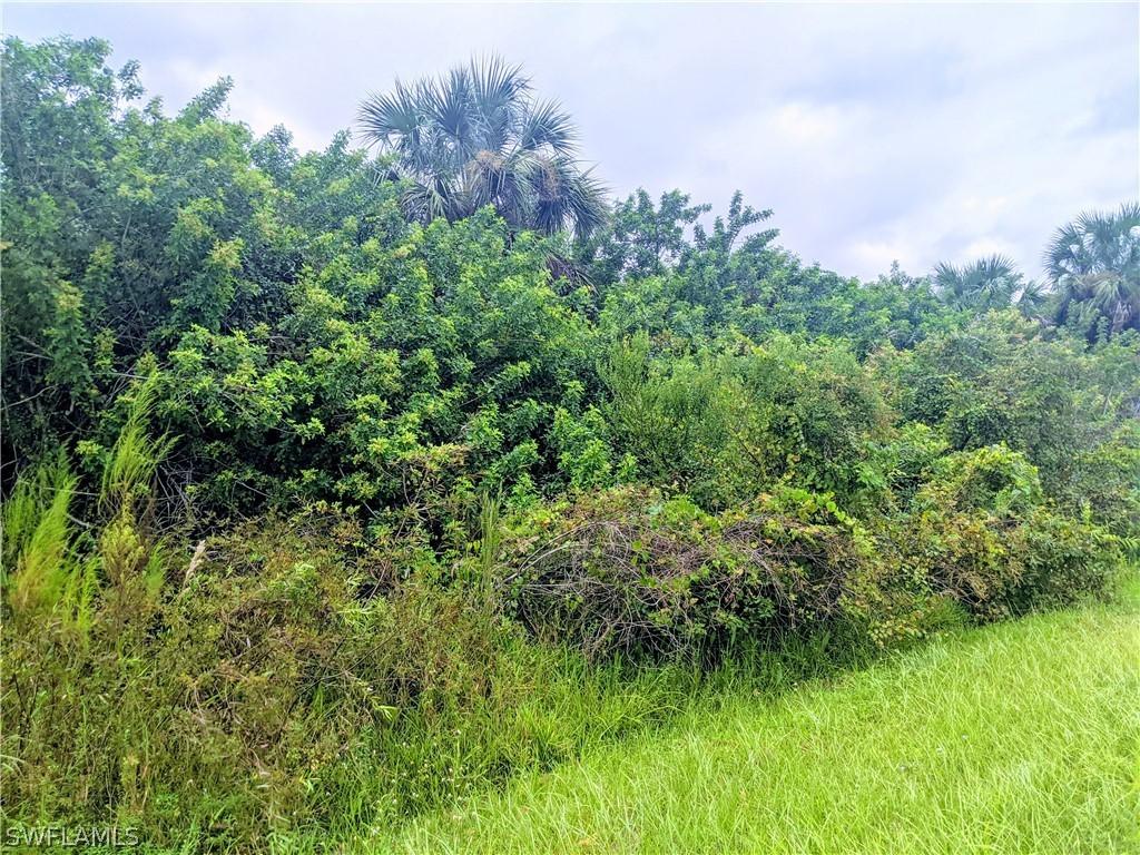 XXX Shady Hollow Blvd., Naples, FL 34120