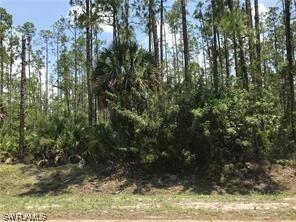 271 33rd Ave., Naples, FL 34120