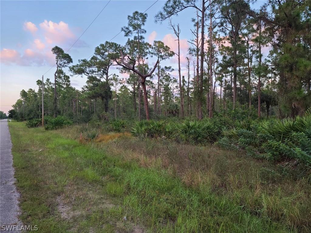 1010 Edison Ave., Lehigh Acres, FL 33936