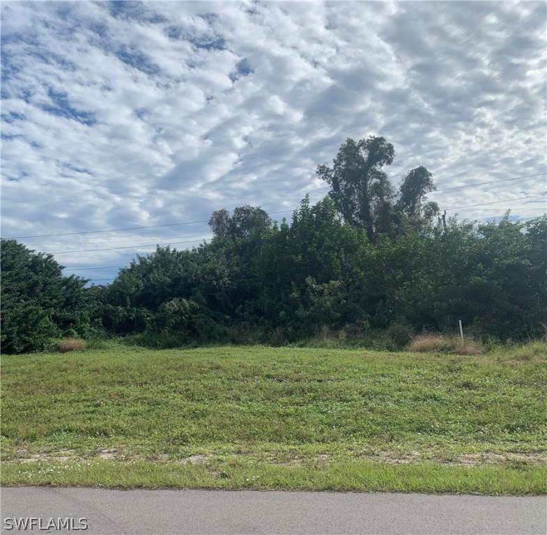 1118 NW 8th Ter., Cape Coral, FL 33993