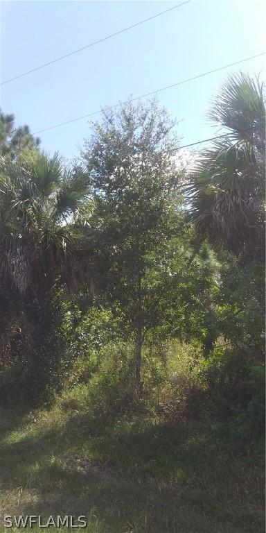 2515 54th St., Lehigh Acres, FL 33971