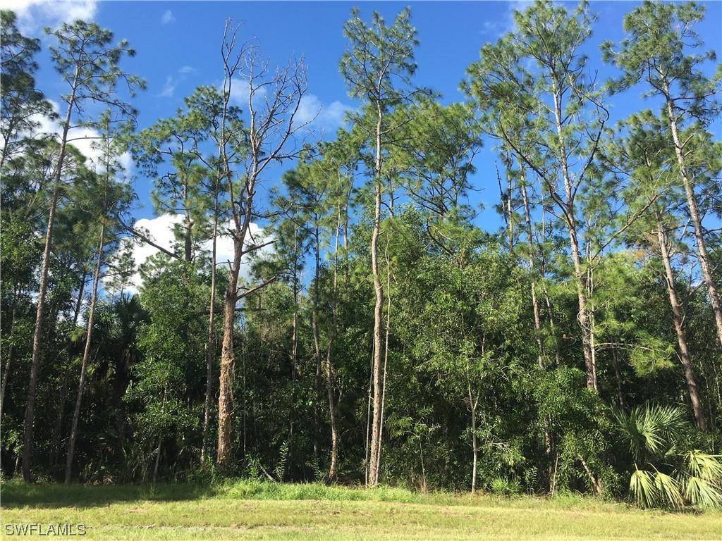 XxXx Wilson Blvd., Naples, FL 34120