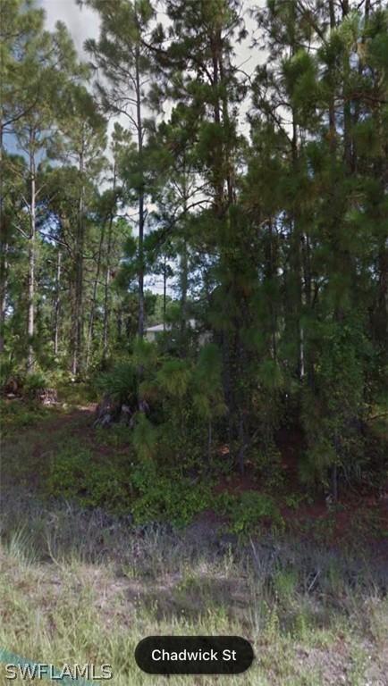 968 Chadwick St., Lehigh Acres, FL 33974