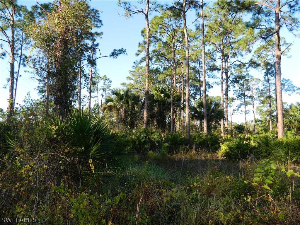 903 Euclid Ave., Lehigh Acres, FL 33972