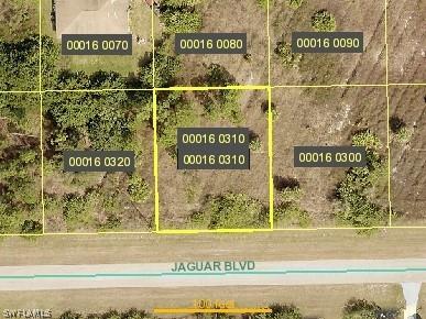 933 Jaguar Blvd., Lehigh Acres, FL 33974