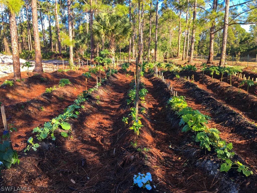 3400 52nd St., Lehigh Acres, FL 33971