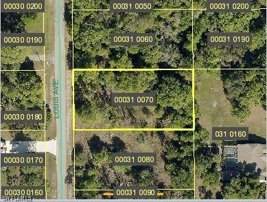 1010 Louis Ave., Lehigh Acres, FL 33972