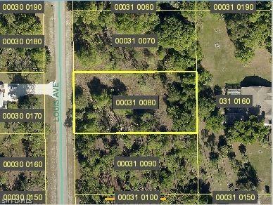 1008 Louis Ave., Lehigh Acres, FL 33972